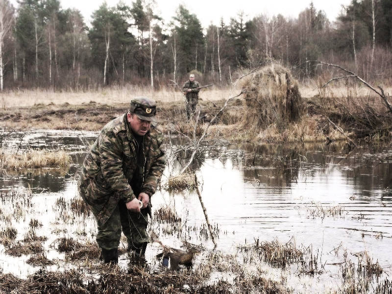 Королевская охота, охота в Тверской области, рыбалка